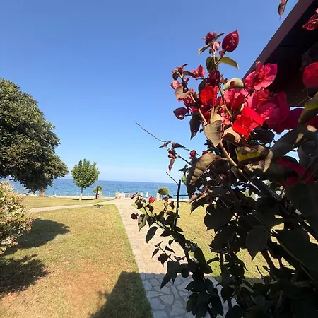 Nikoleta - Front Luxury With Access 别墅 Akti Salonikiou